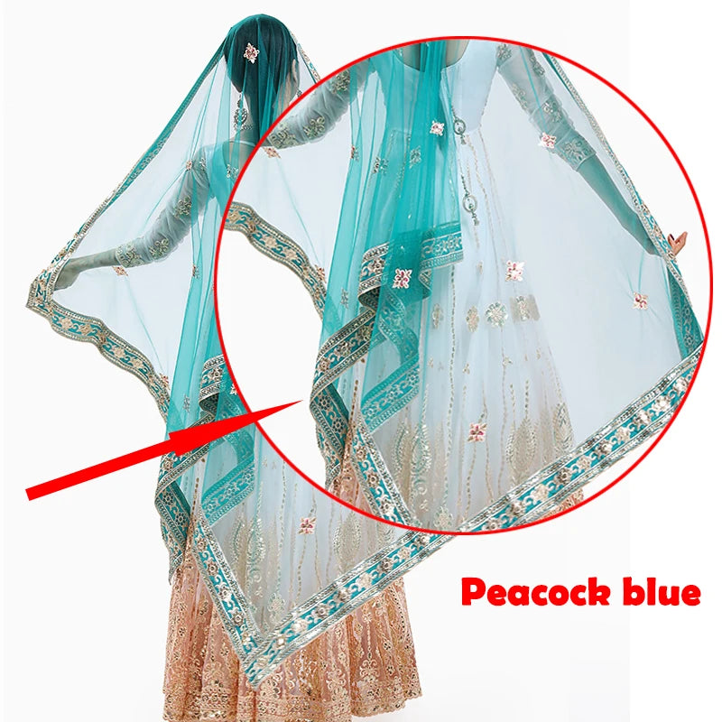 Indian Saree Scarf For Women Adult Female Belly Dance Stage Performance Elegant Accessories Multicolor Embroidered Scarf DQL6631