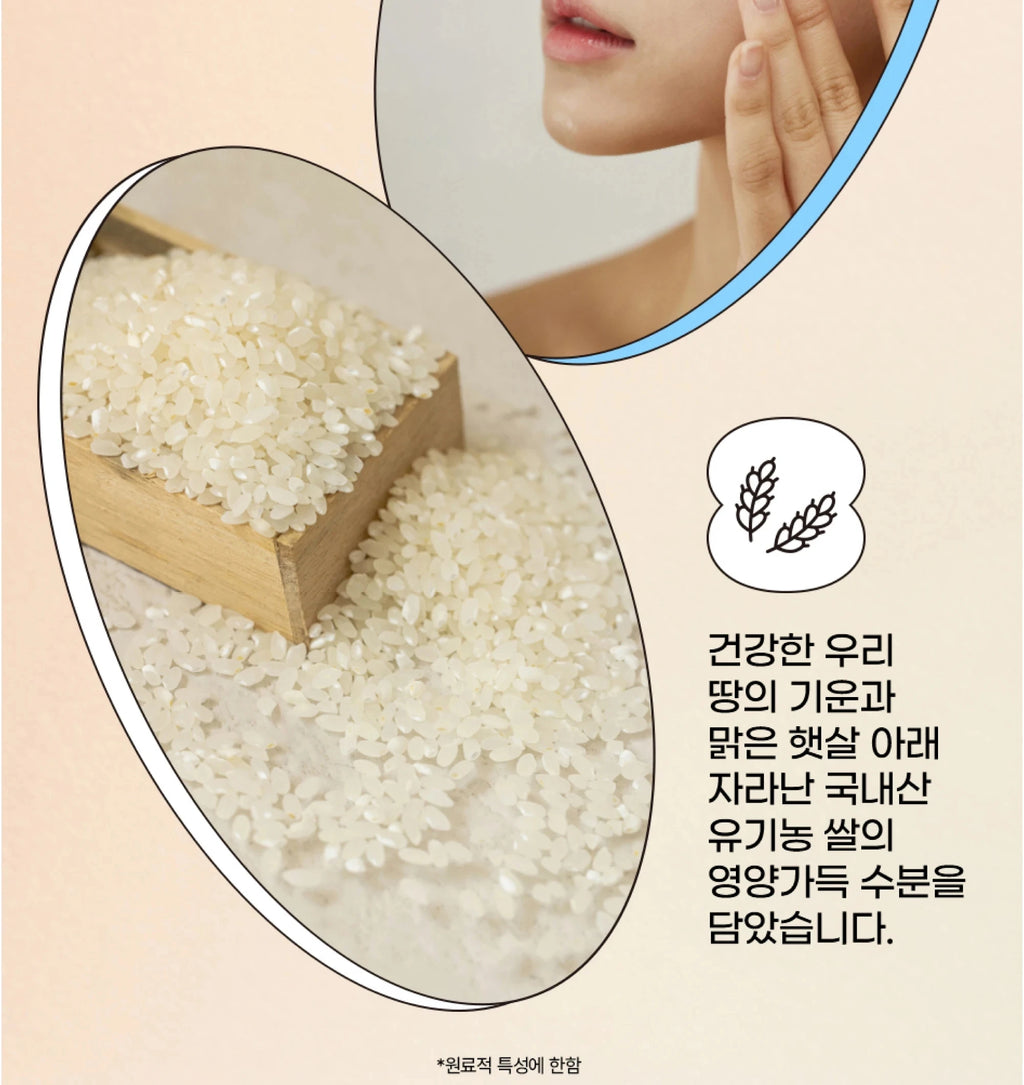 Korean Beauty of Joseon Sunscreen SPF50+anti Sweat Refreshing and Non Greasy Protecting The Skin From UV Damage Daily Commute
