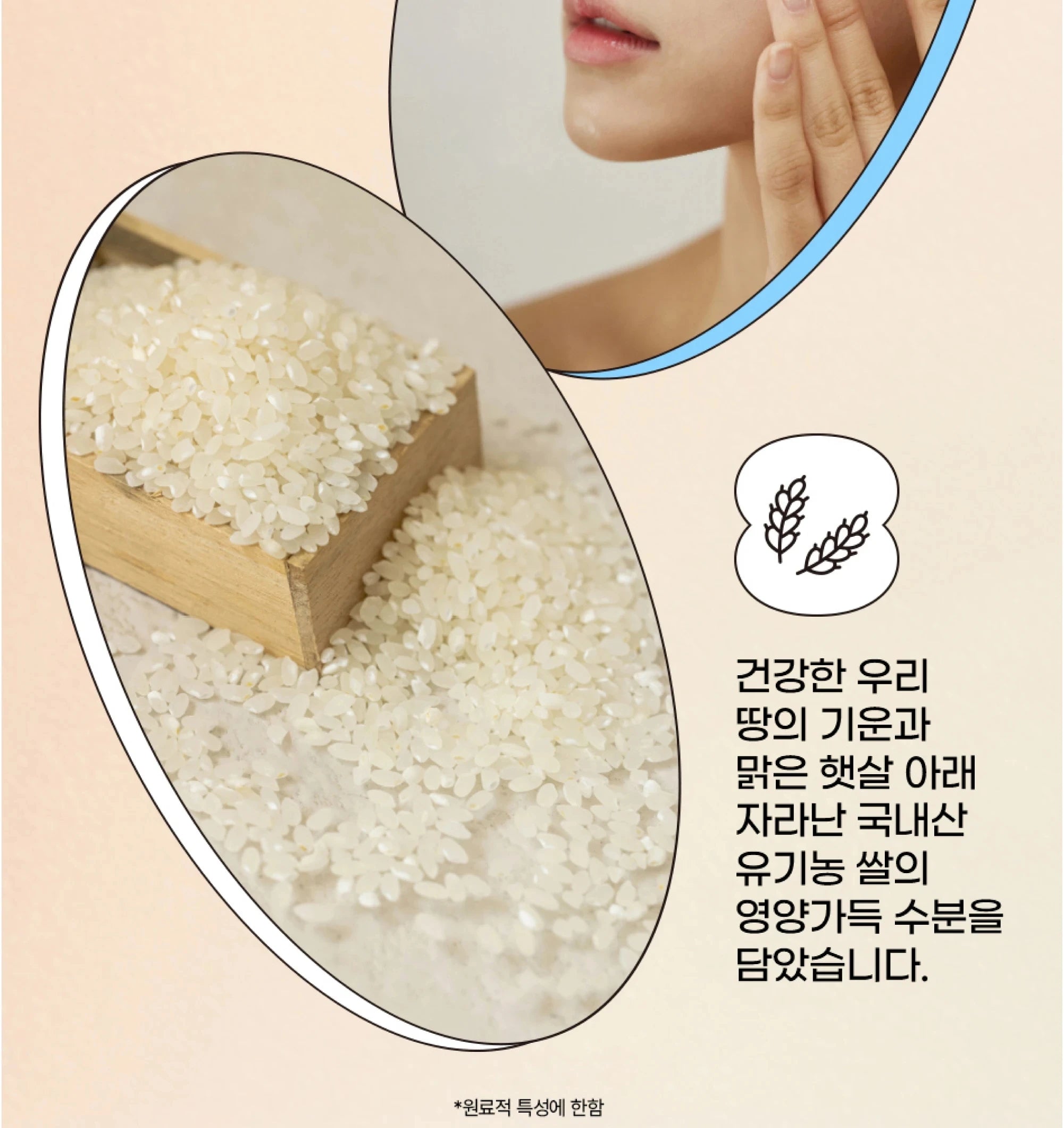 Korean Beauty of Joseon Sunscreen SPF50+anti Sweat Refreshing and Non Greasy Protecting The Skin From UV Damage Daily Commute