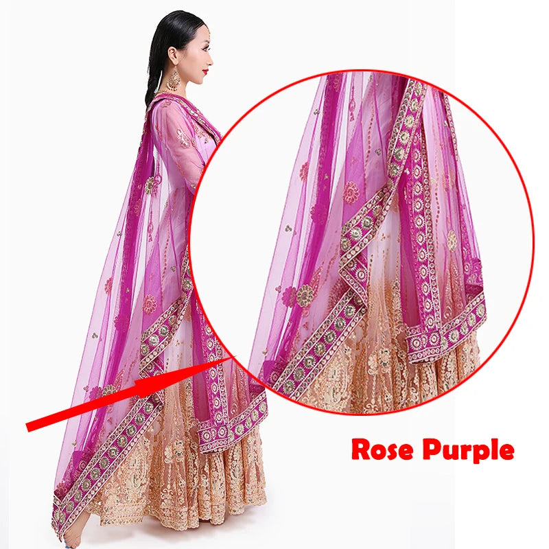 Indian Saree Scarf For Women Adult Female Belly Dance Stage Performance Elegant Accessories Multicolor Embroidered Scarf DQL6631