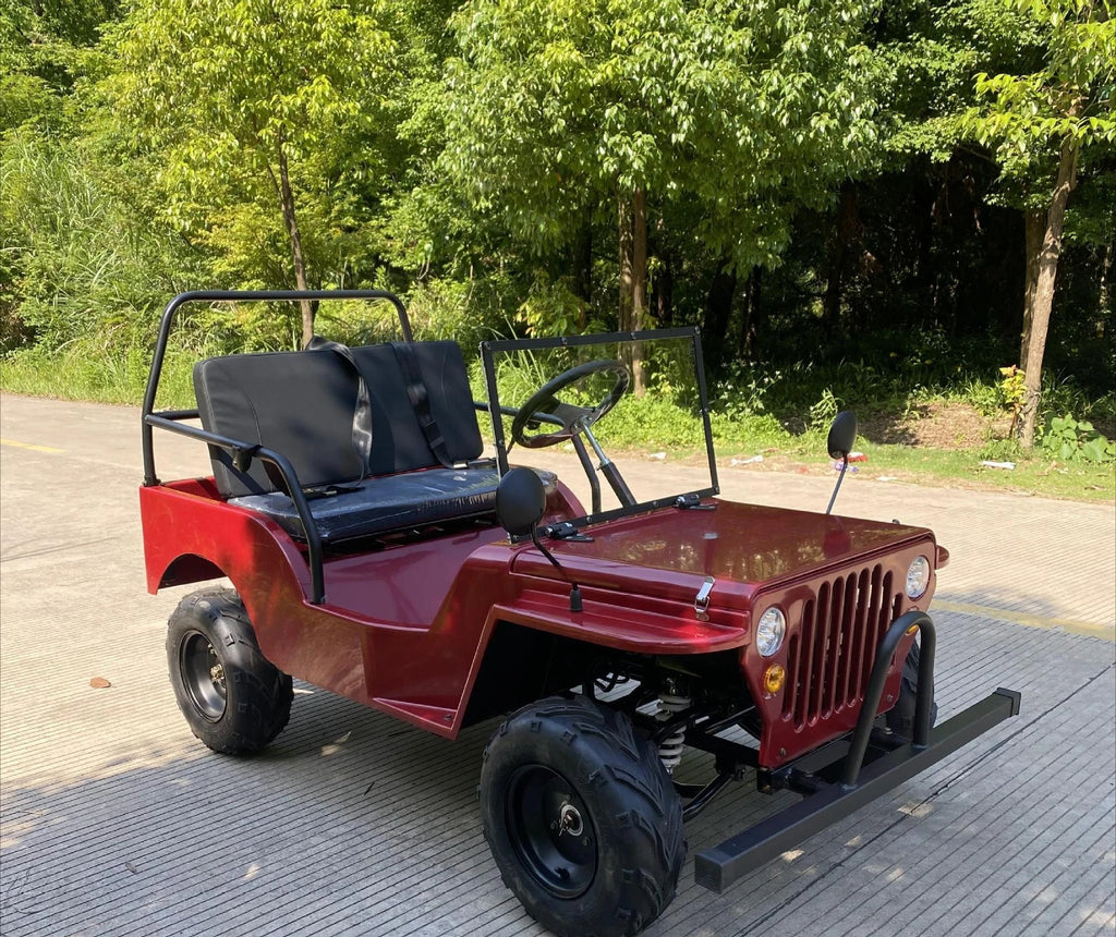 All-terrain adult electric farmer beach car off-road double leisure scenic kart