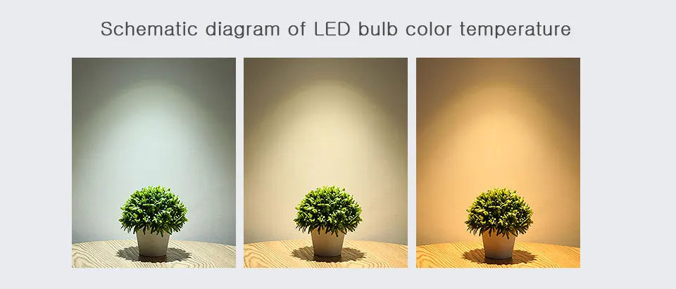 6pcs E26 E12 LED Bulb 20W 18W 15W 12W 9W 6W 3W Lampada LED Light AC 110V Bombilla Lighting Cold/Warm White Lamp For Home