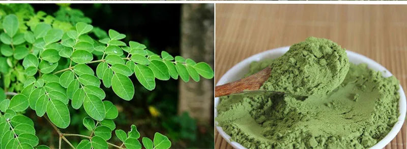 Moringa Powder Organic