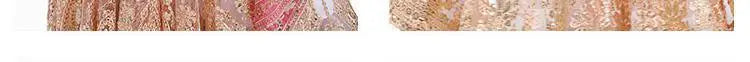 2025 indian traditional sari gauze embroidery exotic style women veil ethnic elegant long shawl women elegant indian shawl s590