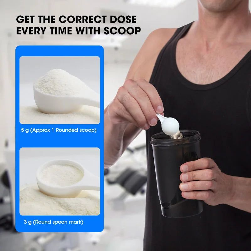 Creatine Monohydrate Energy Performance Whey Proteins for Muscle Mass Workout Recovery Friendly Adult Nutritional Supplement
