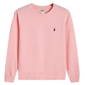 RL embroidered sportswear cotton men's spring and autumn thin style long sleeved men's round neck pullover top men's clothing