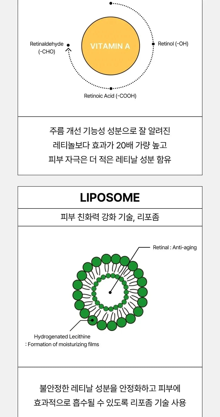 Korean Beauty of Joseon Ginseng Essence Eye Cream Moisturizing Improves Fine Lines, Dry Lines and Dark Circles Around The Eyes