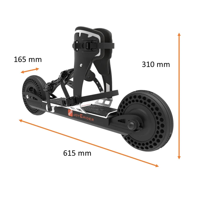 JoyEwheels Electric Skate Board Surf Board Skating Shoe Professional Roller Skates